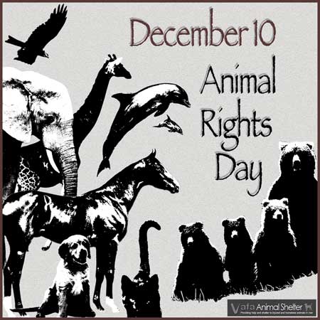 International Animal Rights Day (IARD) - GSPSA